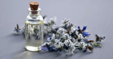 Hair Oil For All Hair Problems - DIY